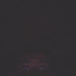Dashawn Morris - @ssgsavage23 - Instagram