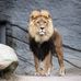 Deshawn Porter - Facebook