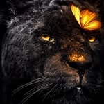 Dashawn Wright - @dashawn2360 - Instagram