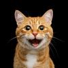 Dashiell Sanchez@ - @dashiell.sanchez3 - TikTok