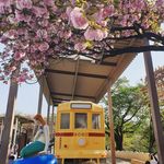 Đầu Mẩu - @maubeo - Instagram