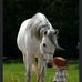 Dave Aaron - Facebook