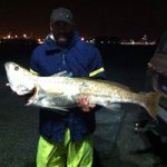 Dave Abbott - @d.abbott - Instagram