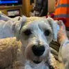 Dave abbott - @d.abbott68 - TikTok