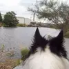 Dave Adamson - @dave.adamson0 - TikTok