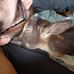 David Albrecht - Facebook