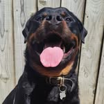 David Alger - @davidalger11 - Instagram