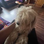 Dave Amos - @daveamos667 - Instagram