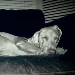 dave angus - @daveangus500 - Instagram