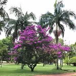 Dave Angus - @dave.angus.33 - Instagram