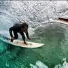 Dave Angus - @daveangus0 - TikTok