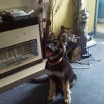 Dave Angus - @angus4936 - Instagram