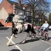 Dave Armitage - @david10074 - TikTok