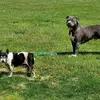 Dave Atkinson - @dave.atkinson8 - TikTok