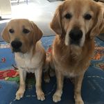 Dave Bailey - @dave.bailey.5621 - Instagram