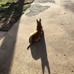 Dave Bain - @the_dave_ss - Instagram