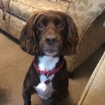 Dave Bain - @davidbain72 - Instagram