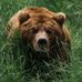 Dave Bain - Facebook