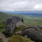 Dave Barney Barnard - @barney_barnard - Instagram