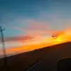 david baumgardner351 - @davidbaumgardner33 - TikTok