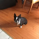 Dave Baylis - @pumba_baylis - Instagram
