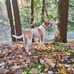Dave Beals - Facebook