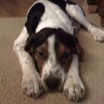 Dave Bedard - @dave.bedard - Instagram