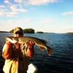 Dave Bedard - @superd56 - Instagram