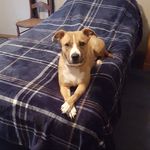 Dave Beeman - @beeman.dave - Instagram