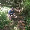 Dave Beeming - @davebeemer - TikTok