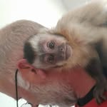 Dave Beeson - @beeson4705 - Instagram