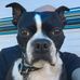 Dave Bellamy - Facebook