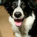 David Bellis - Facebook