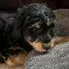 DaveBen 925 - @dave13777 - TikTok
