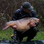 Dave Bendall - @davebendall - Instagram