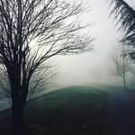 Dave Benedict - @davebgb - Instagram