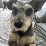 Dave W Benz - @davewbenz - Instagram