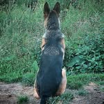 Dave Bergeron - @dave.bergeron.16 - Instagram