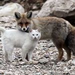 Dave Bergeron - @bergeron_dave - Instagram