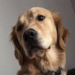 Dave Bernstein - @yesmynameisdave - Instagram