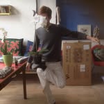 David Bernstein - @yesyesbernstein - Instagram