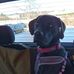 Dave Bert - Facebook