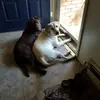 davebertram815 - @davebertram815 - TikTok