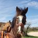David Bert - Facebook