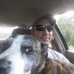 Dave Bertrand - @ptownhornet - Instagram