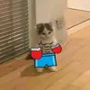 davebetter0 - @davebetter0 - TikTok