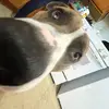 Davebluntsbetter - @davebluntsbetter - TikTok