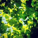 D@veBetterLife - @davebetterlife - Instagram