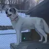 davebeyer1 - @davebeyer1 - TikTok