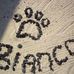 Dave Bianco - Facebook